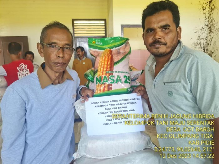Sinergi Program Pemkab Pidie dan Dinas Pertanian Aceh, Gampong Cot Baroh Dilanda Antusiasme Petani Jagung